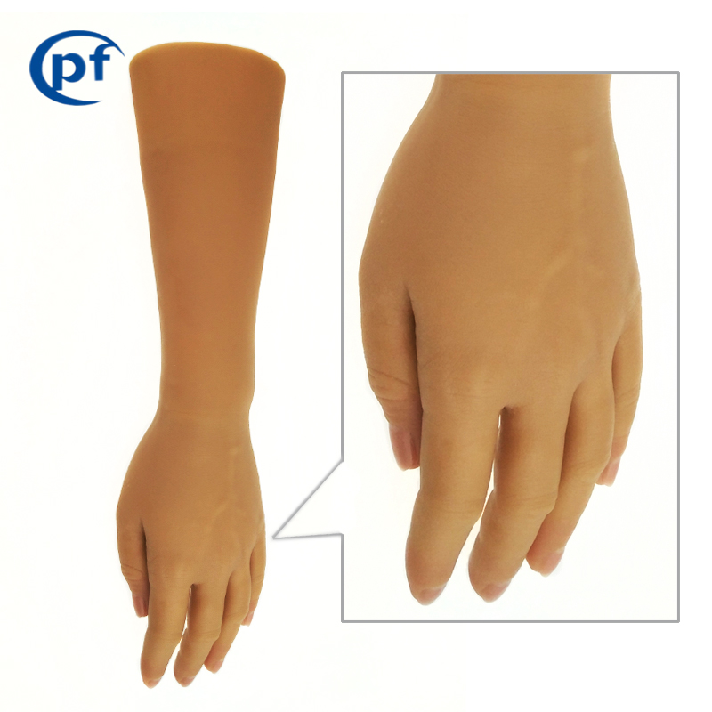 실리콘 장갑 의료용품 실리콘 보철물 손 커버 인공 손  - Medical Gloves 리뷰 및 가격