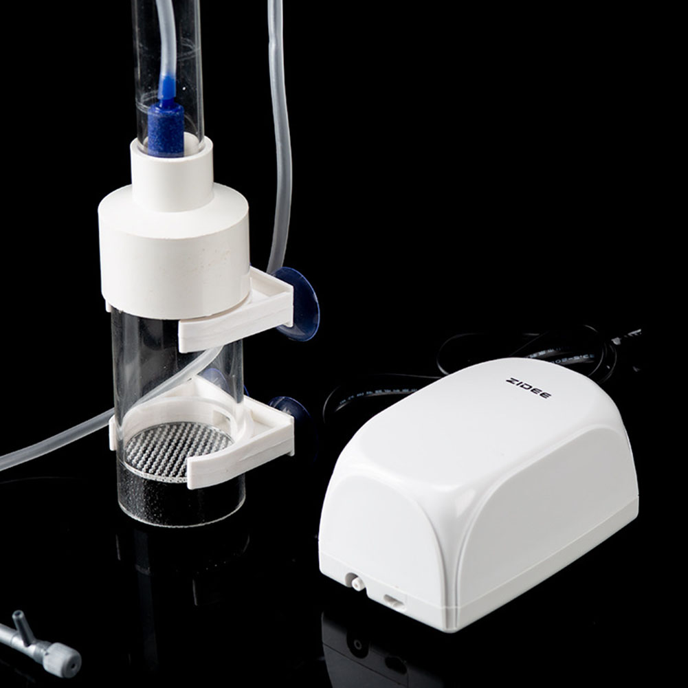 40mm 인큐베이터 어류 부화장 알 입내 부화장 어류  - Lab Incubator 리뷰 및 가격