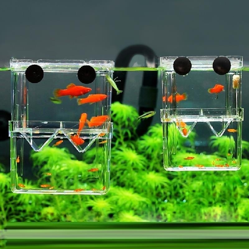 다기능 물고기 수족관 높은 명확한 물고기 번식 격리 상 - Lab Incubator 리뷰 및 가격