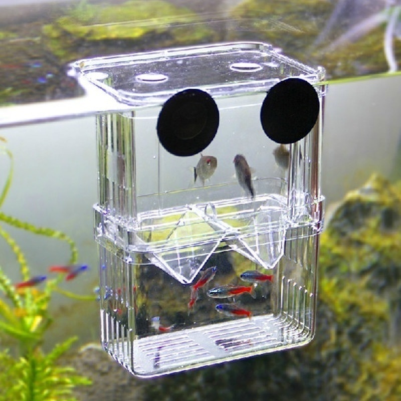 다기능 물고기 수족관 높은 명확한 물고기 번식 격리 상 - Lab Incubator 리뷰 및 가격